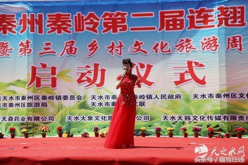 秦嶺連翹花開迎客來，秦州文旅融合繪新篇——第二屆連翹旅游節(jié)暨第三屆鄉(xiāng)村文化旅游周盛大啟幕