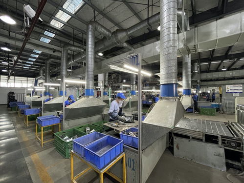 真拆vs二次銷售 長(zhǎng)虹美菱以產(chǎn)業(yè)鏈打造家電回收體系新標(biāo)桿